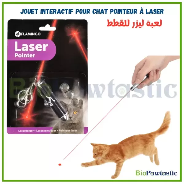 Jouet laser interactif