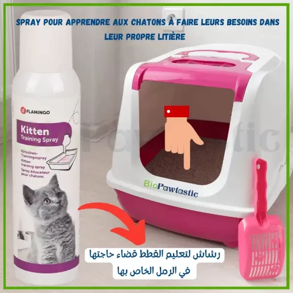 Spray pour apprendre aux chatons à faire leurs besoins dans leur propre litière